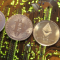 Investigadores alertan sobre el uso del bitcoin como herramienta para el blanqueo de capitales y la especulación financiera