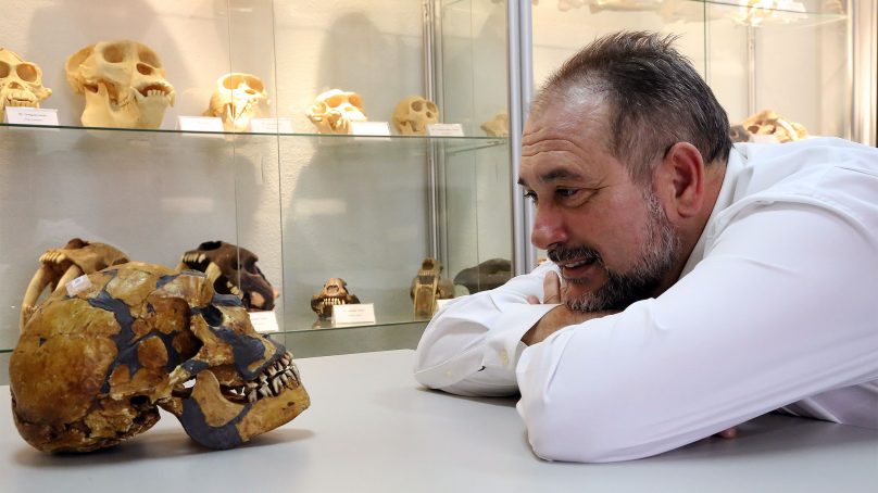 La Universidad de Málaga desvela nuevos datos sobre la evolución del cráneo humano