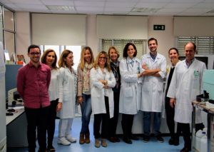 El proyecto científico ‘Recaídas 0: matemáticas contra la leucemia infantil’, desarrollado por investigadores de la Universidad de Cádiz y el Hospital de Jerez, ha sido reconocido con el I Premio Innovación TIC Biomédica INiBICA-Fundación Unicaja.  