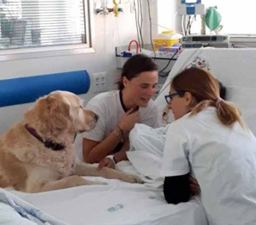 Los perros reducen el dolor en los pacientes con cáncer
