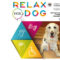 RELAX-UGR-DOG, un proyecto para mejorar el bienestar de los estudiantes con discapacidad