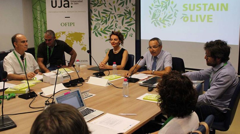 La UJA impulsa la sostenibilidad del cultivo del olivar a través del proyecto europeo SUSTAINOLIVE