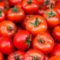 Investigadores UAL descifran nuevas claves genéticas sobre el tamaño del tomate