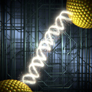 Hacia una nanoelectrónica basada en ADN