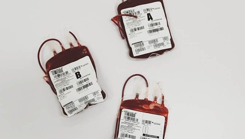 “Si eres de sangre caliente, dónala”, nueva campaña de donación de sangre en el campus de la Universidad Pablo de Olavide