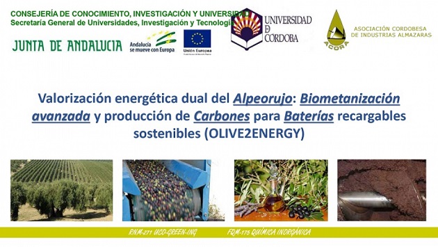 La UCO desarrolla un proyecto para valorizar el alperujo del aceite de oliva
