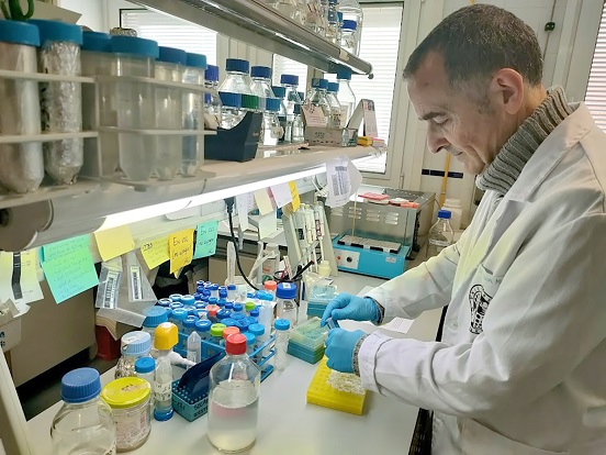 Investigadores UJA estudian nuevos métodos en la lucha contra el cáncer