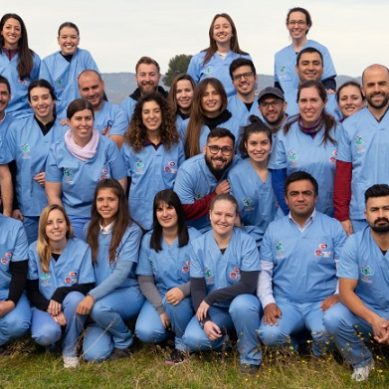 Premian el Máster en Medicina Deportiva Equina de la UCO